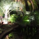 Mistress Troy enjoys lily pads and palm trees in Florida